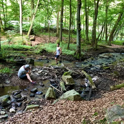 BTS - Fotoschooting, Schmitten im Taunus: Oberstedten, Deutschland, 16. Juni 2018