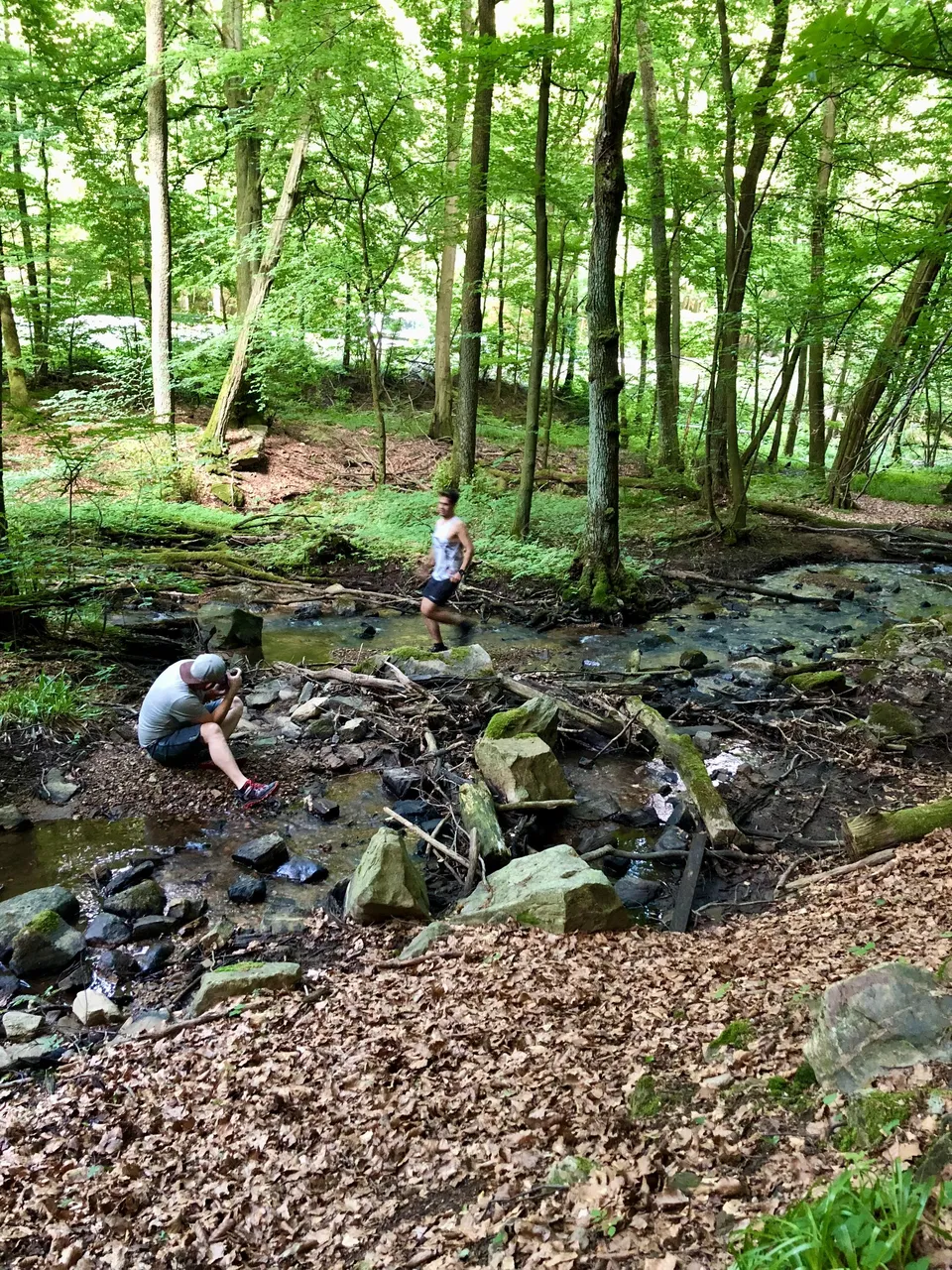 BTS - Fotoschooting, Schmitten im Taunus: Oberstedten, Deutschland, 16. Juni 2018