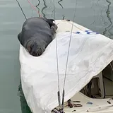 Punta Del Este: 3. April 2023