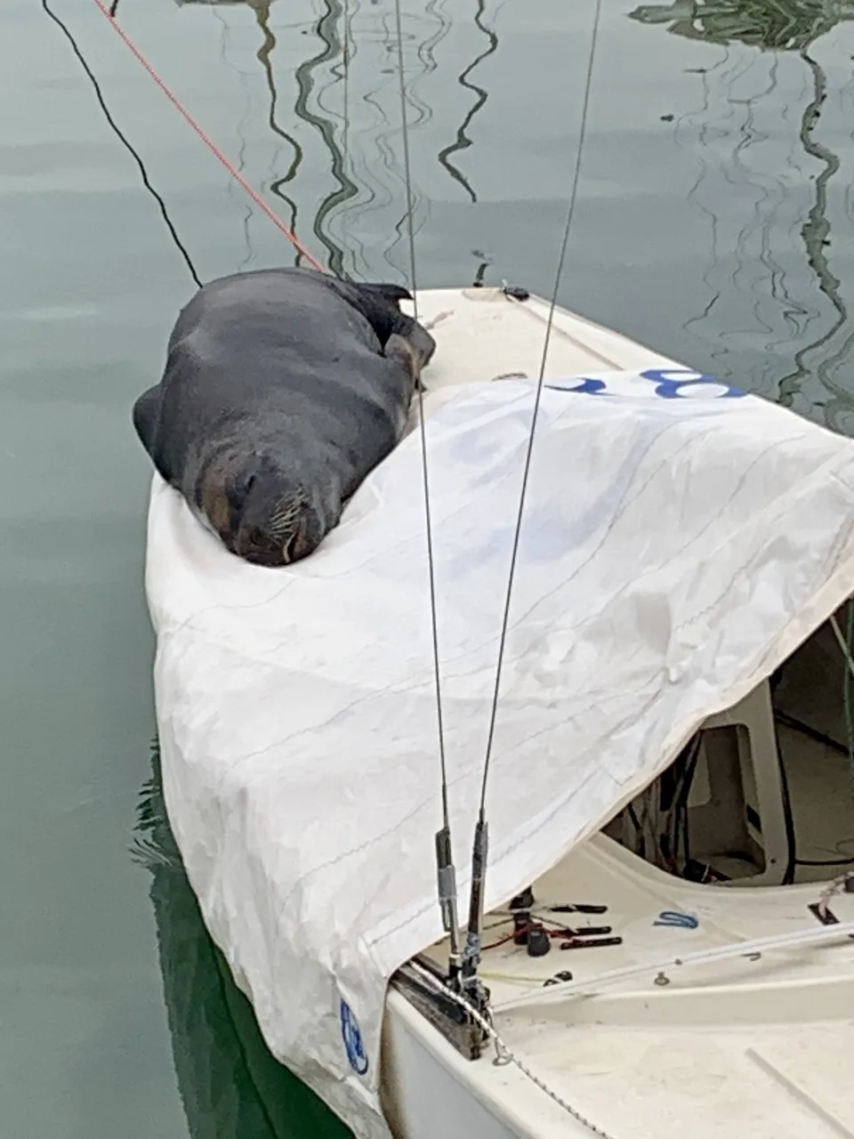 Punta Del Este: 3. April 2023