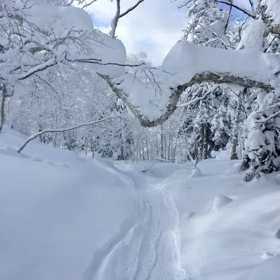 Skifahren in Hokkaidō, Japan: Higashikawa, 13. Januar 2017