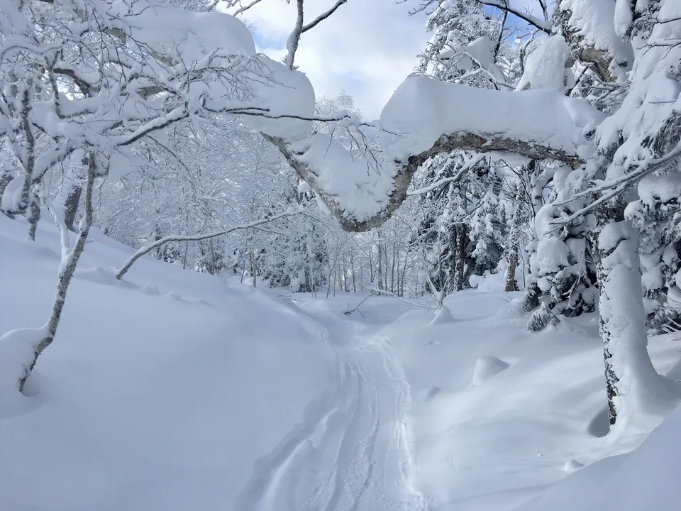 Skifahren in Hokkaidō, Japan: Higashikawa, 13. Januar 2017