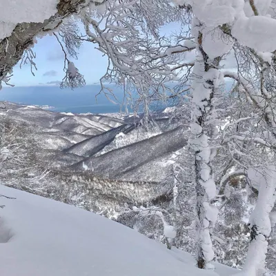Skifahren in Hokkaidō, Japan: 13. Januar 2017