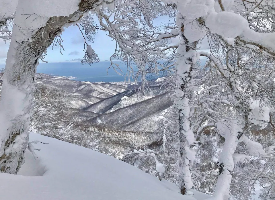 Skifahren in Hokkaidō, Japan: 13. Januar 2017