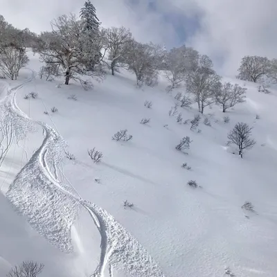 Skifahren in Hokkaidō, Japan: 13. Januar 2017