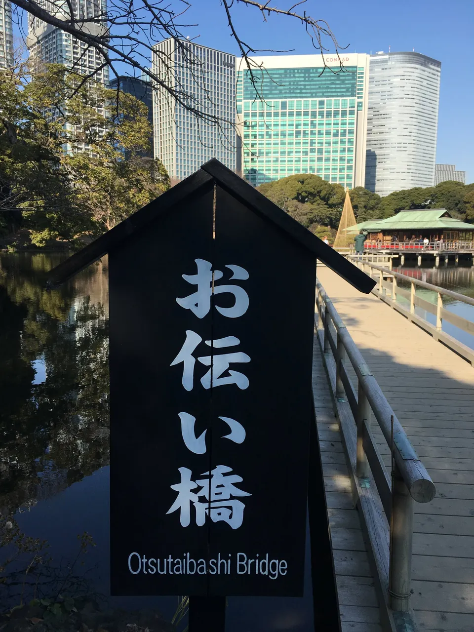 Tokio, Japan: Chūō, 22. Januar 2017
