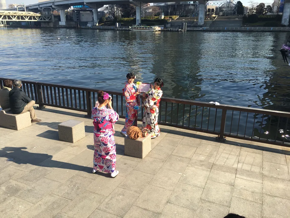 Tokio, Japan: Taitō, 22. Januar 2017